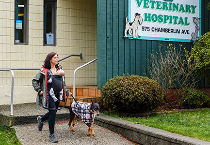 Our Commitment | Pacific Coast Veterinary Hospital | Prince Rupert, BC