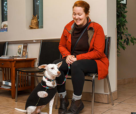About Pacific Coast Veterinary Hospital | Prince Rupert, BC