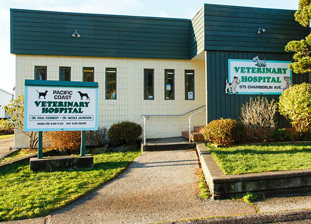 Pacific Coast Veterinary Hospital | Prince Rupert, BC