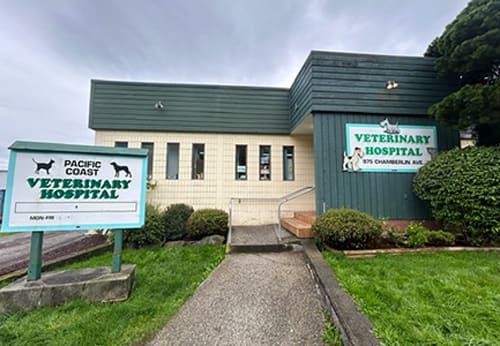 Our Commitment | Pacific Coast Veterinary Hospital | Prince Rupert, BC