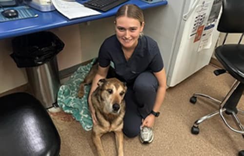 Veterinary Team | Pacific Coast Veterinary Hospital | Prince Rupert, BC