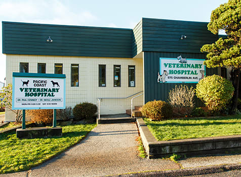 Informations for New Patients | Pacific Coast Veterinary Hospital | Prince Rupert, BC
